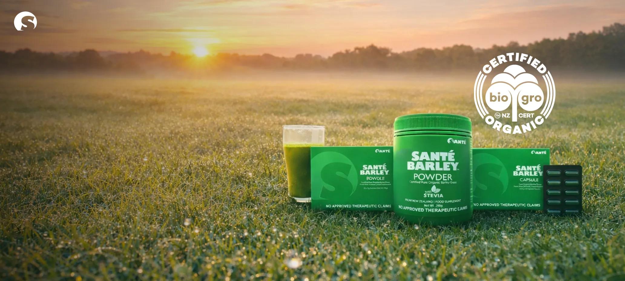 Sante